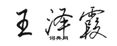 駱恆光王澤霞行書個性簽名怎么寫