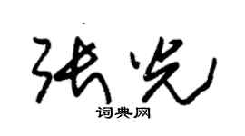 朱錫榮張光草書個性簽名怎么寫