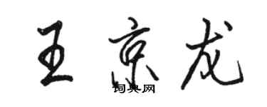 駱恆光王京龍行書個性簽名怎么寫