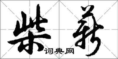 胡問遂柴薪行書怎么寫