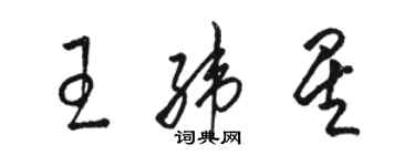 駱恆光王緯星草書個性簽名怎么寫