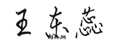 駱恆光王東蕊行書個性簽名怎么寫