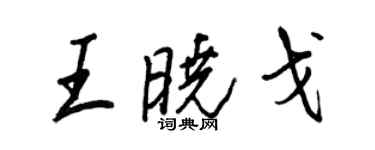 王正良王曉戈行書個性簽名怎么寫