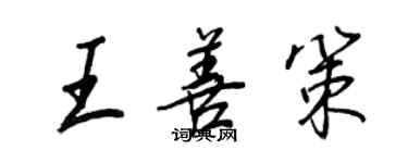 王正良王善策行書個性簽名怎么寫