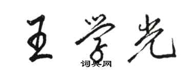 駱恆光王學光行書個性簽名怎么寫