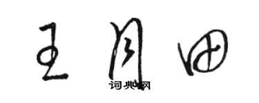 駱恆光王月田草書個性簽名怎么寫