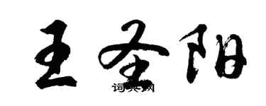 胡問遂王聖陽行書個性簽名怎么寫