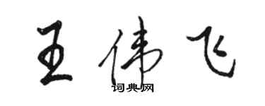 駱恆光王偉飛行書個性簽名怎么寫