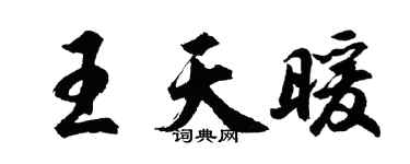 胡問遂王天暖行書個性簽名怎么寫