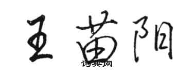 駱恆光王苗陽行書個性簽名怎么寫