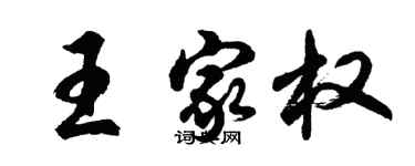 胡問遂王家權行書個性簽名怎么寫