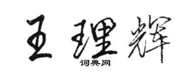 駱恆光王理輝行書個性簽名怎么寫