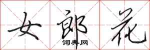 田英章女郎花行書怎么寫