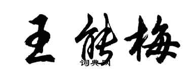 胡問遂王能梅行書個性簽名怎么寫