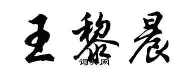 胡問遂王黎晨行書個性簽名怎么寫