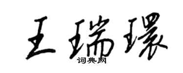 王正良王瑞環行書個性簽名怎么寫