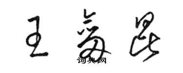 駱恆光王劍昆草書個性簽名怎么寫