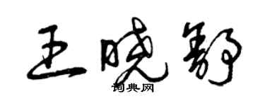 曾慶福王曉舒草書個性簽名怎么寫