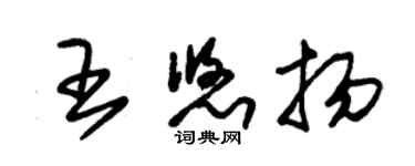 朱錫榮王悠揚草書個性簽名怎么寫