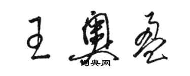 駱恆光王奧盈草書個性簽名怎么寫