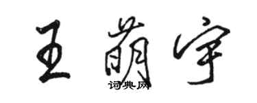 駱恆光王萌宇行書個性簽名怎么寫