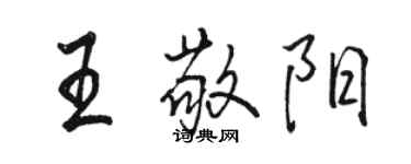 駱恆光王敬陽行書個性簽名怎么寫