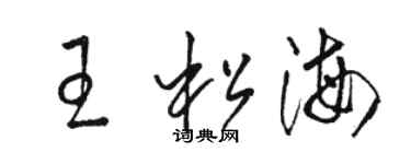 駱恆光王松海草書個性簽名怎么寫