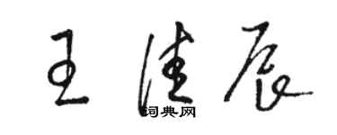 駱恆光王佳辰草書個性簽名怎么寫