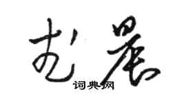 駱恆光武晨草書個性簽名怎么寫