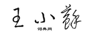 駱恆光王小蘇草書個性簽名怎么寫