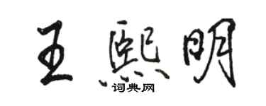 駱恆光王熙明行書個性簽名怎么寫