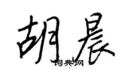 王正良胡晨行書個性簽名怎么寫