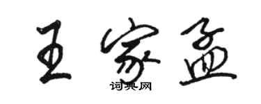 駱恆光王家孟行書個性簽名怎么寫