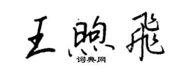 王正良王煦飛行書個性簽名怎么寫