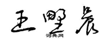 曾慶福王野晨草書個性簽名怎么寫