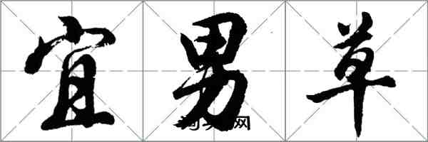 胡問遂宜男草行書怎么寫