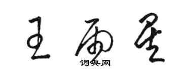 駱恆光王雨星草書個性簽名怎么寫