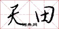 天田怎么寫好看