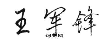 駱恆光王軍鋒行書個性簽名怎么寫