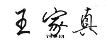 駱恆光王家真行書個性簽名怎么寫