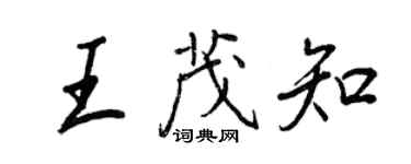 王正良王茂知行書個性簽名怎么寫