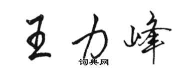 駱恆光王力峰行書個性簽名怎么寫