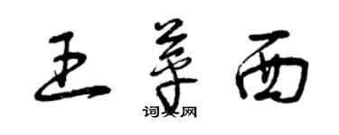 曾慶福王苹西草書個性簽名怎么寫