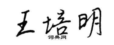 王正良王培明行書個性簽名怎么寫