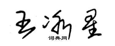 朱錫榮王冰星草書個性簽名怎么寫