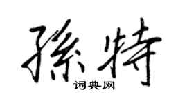 王正良孫特行書個性簽名怎么寫