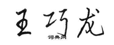 駱恆光王巧龍行書個性簽名怎么寫