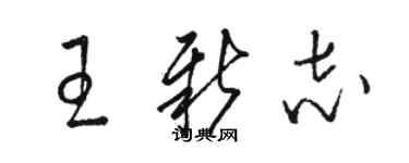 駱恆光王新志草書個性簽名怎么寫