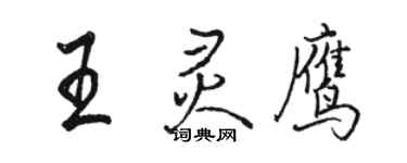 駱恆光王靈鷹行書個性簽名怎么寫