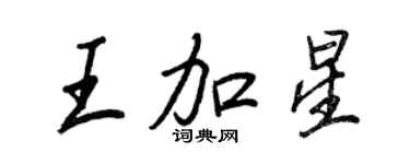 王正良王加星行書個性簽名怎么寫